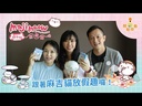 【13】麻吉貓放假趣